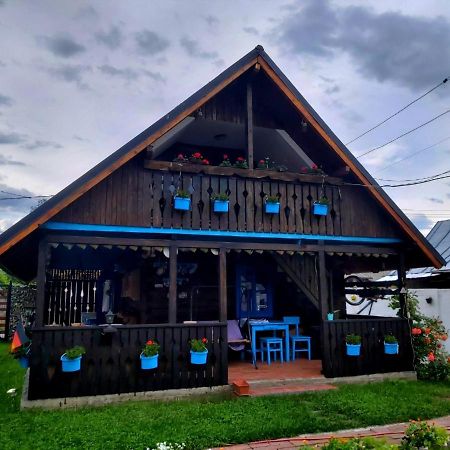 Auberge de jeunesse Casa Toth à Vişeu de Sus Extérieur photo
