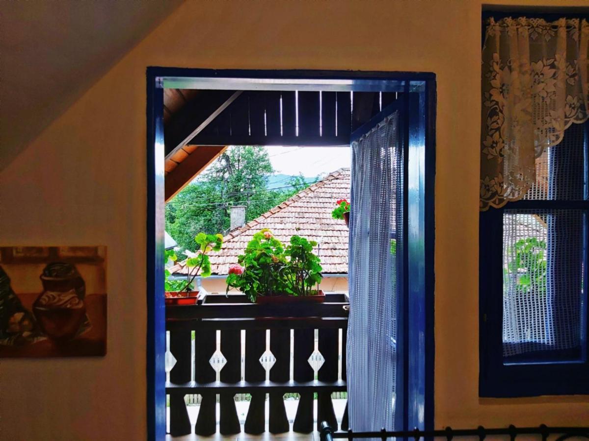 Auberge de jeunesse Casa Toth à Vişeu de Sus Extérieur photo