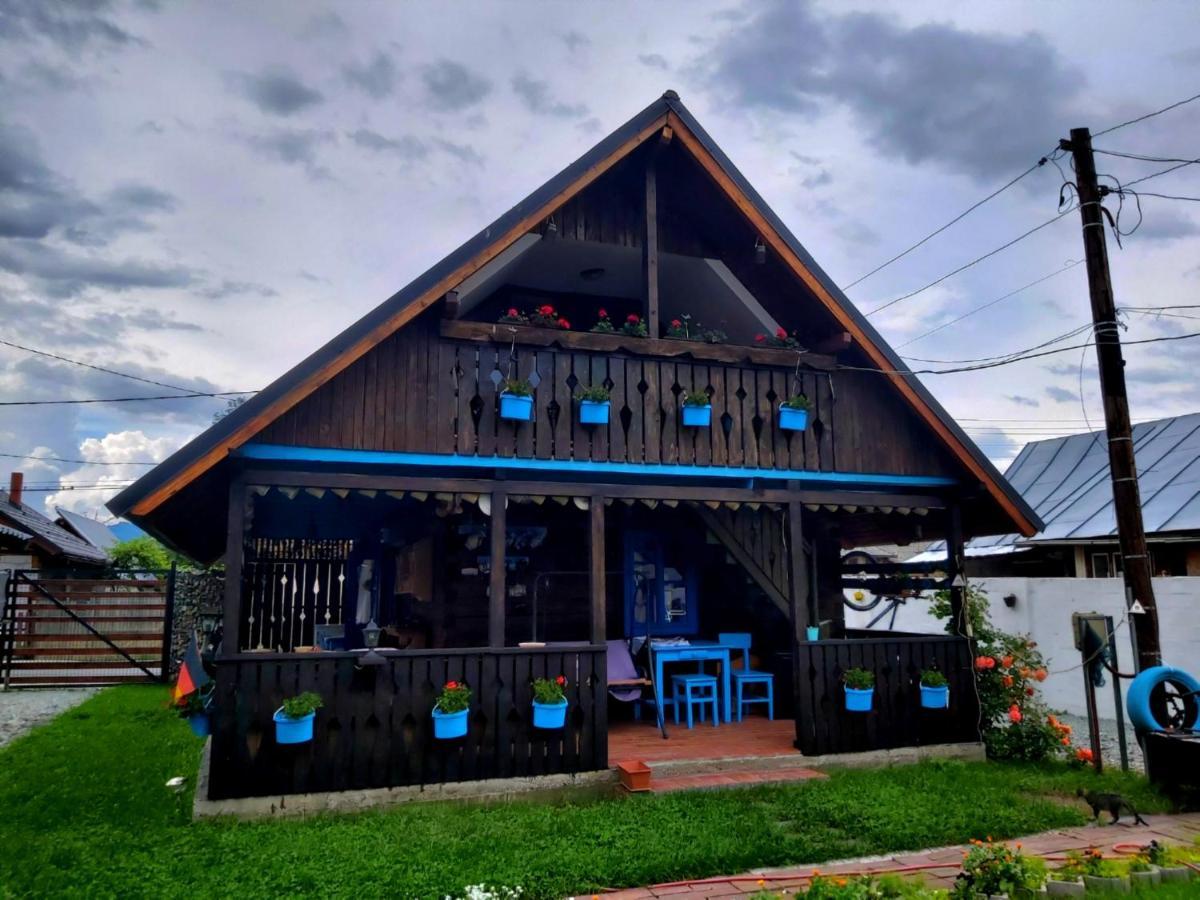 Auberge de jeunesse Casa Toth à Vişeu de Sus Extérieur photo